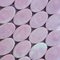 sea salt orchid salt bar